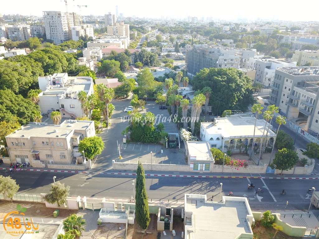 jamal basha tsterre (27).JPG